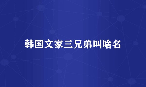 韩国文家三兄弟叫啥名