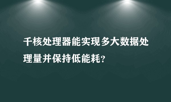 千核处理器能实现多大数据处理量并保持低能耗？