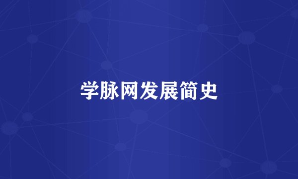 学脉网发展简史
