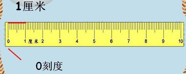 20厘米有多大？