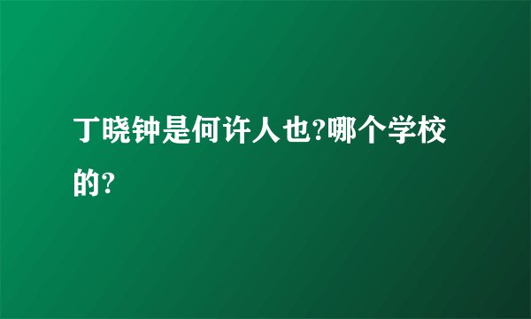 丁晓钟是何许人也?哪个学校的?