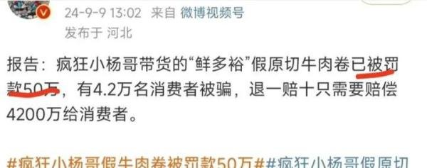 打假人王海直接点名，小杨哥可能要赔4200万！