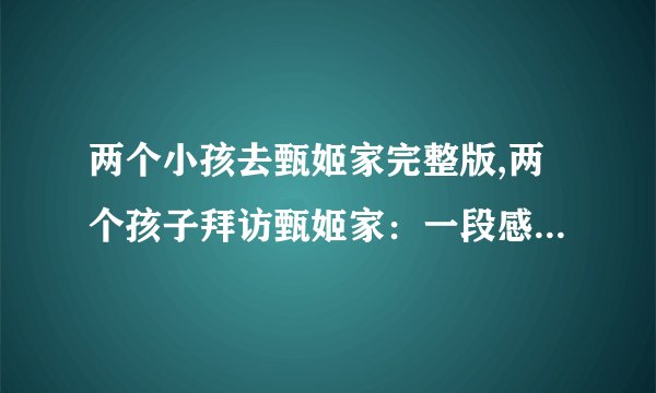 两个小孩去甄姬家完整版,两个孩子拜访甄姬家：一段感人的故事