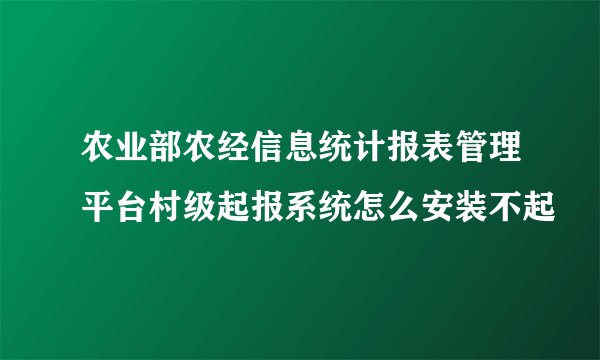 农业部农经信息统计报表管理平台村级起报系统怎么安装不起
