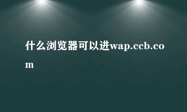 什么浏览器可以进wap.ccb.com