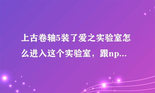 上古卷轴5装了爱之实验室怎么进入这个实验室，跟npc对话没有xxoo这个选项啊