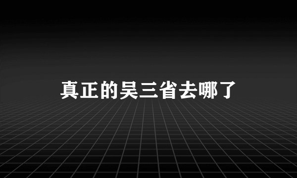 真正的吴三省去哪了