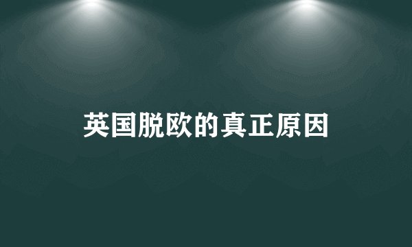 英国脱欧的真正原因