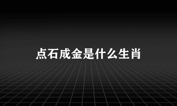 点石成金是什么生肖
