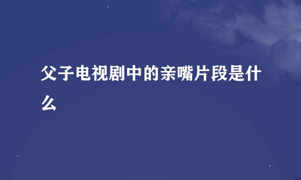 父子电视剧中的亲嘴片段是什么