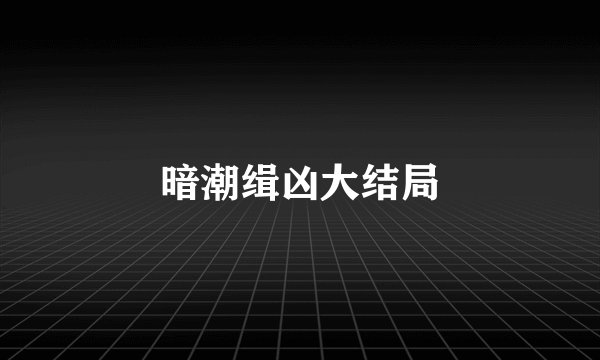 暗潮缉凶大结局