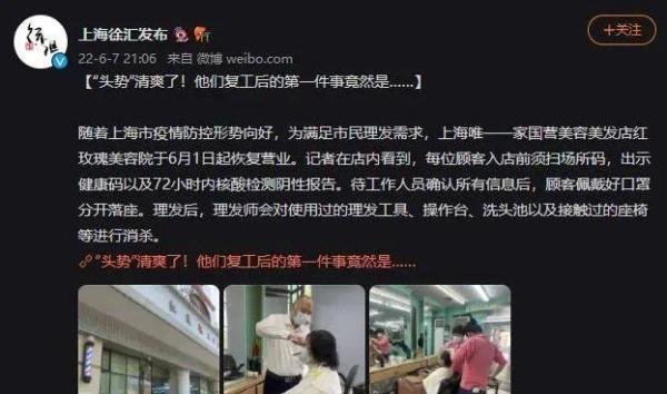 上海红玫瑰，凋落只用了两天！