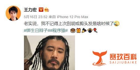 王力宏转职成“码农”？身兼数职，每天还忙着修bug