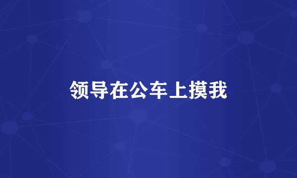 领导在公车上摸我