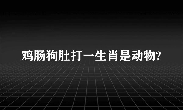 鸡肠狗肚打一生肖是动物?