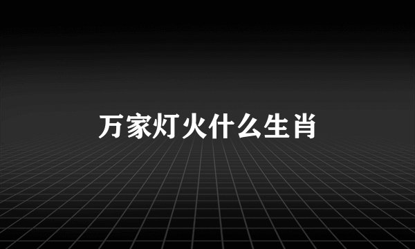 万家灯火什么生肖
