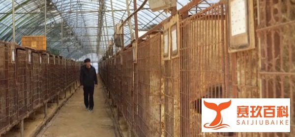 世界首个！韩国通过一项重要决议，中国网友看懵，这都能写入法律...