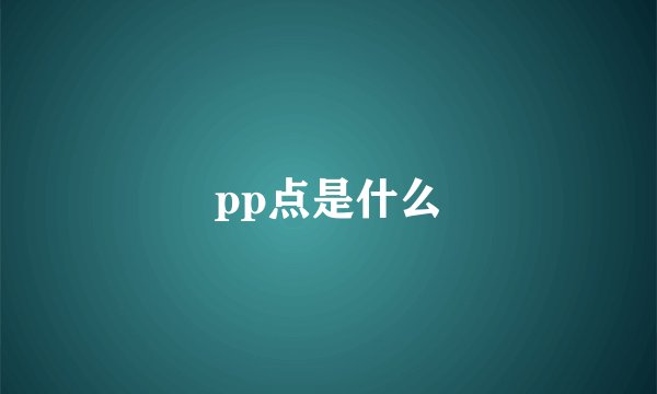 pp点是什么