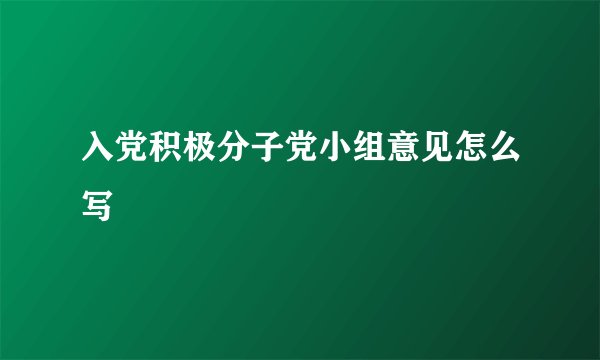 入党积极分子党小组意见怎么写