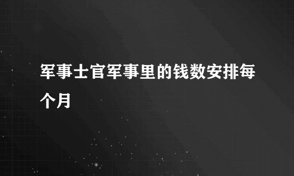军事士官军事里的钱数安排每个月