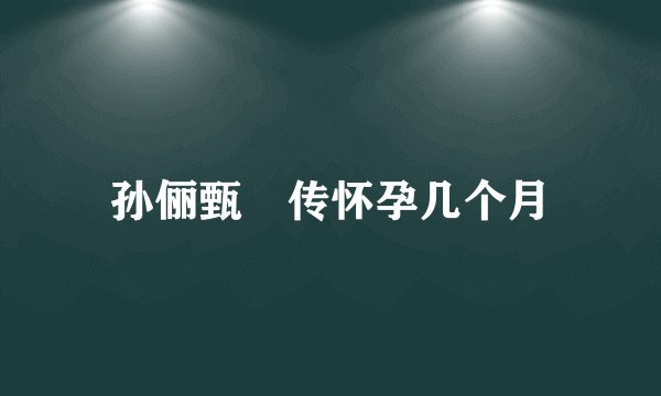 孙俪甄嬛传怀孕几个月