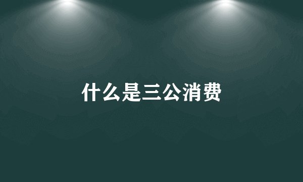 什么是三公消费