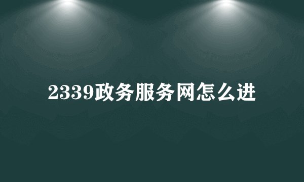 2339政务服务网怎么进