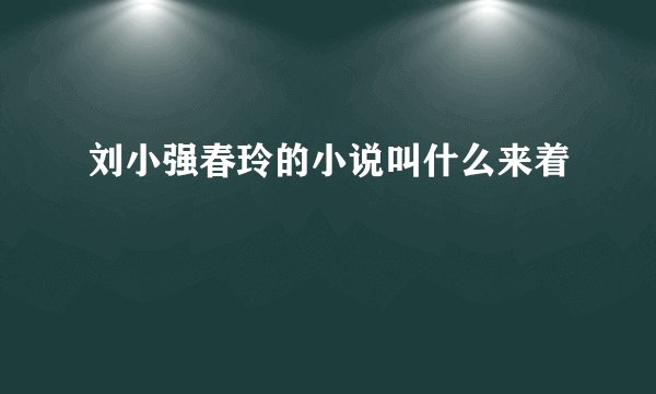 刘小强春玲的小说叫什么来着