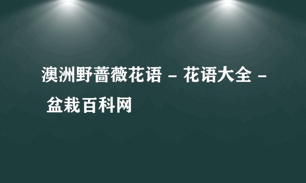 澳洲野蔷薇花语 - 花语大全 - 盆栽百科网