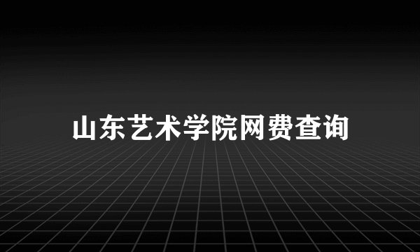 山东艺术学院网费查询