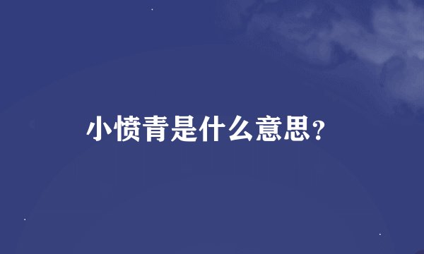 小愤青是什么意思？