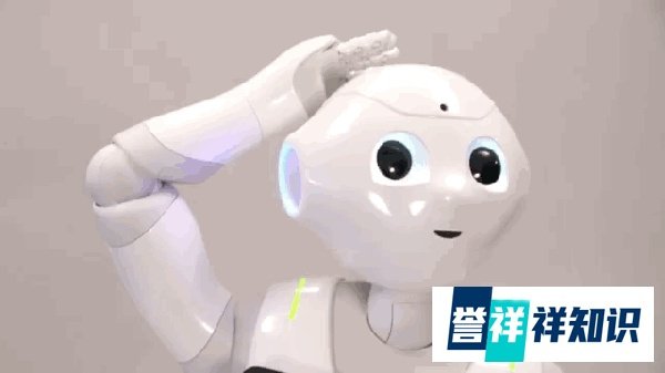 在杂货店打工的机器人 Pepper 被炒了鱿鱼,取代人类的野心再次受阻!