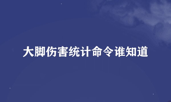 大脚伤害统计命令谁知道