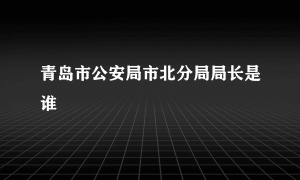 青岛市公安局市北分局局长是谁