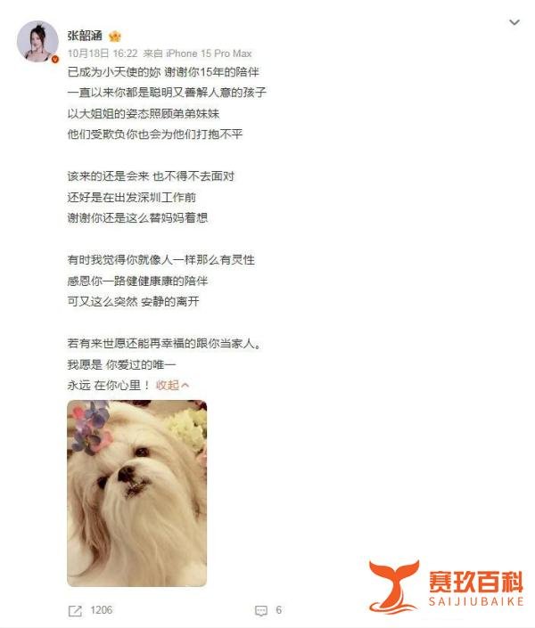 张韶涵痛别15年挚爱 突听噩耗：愿来世再当家人