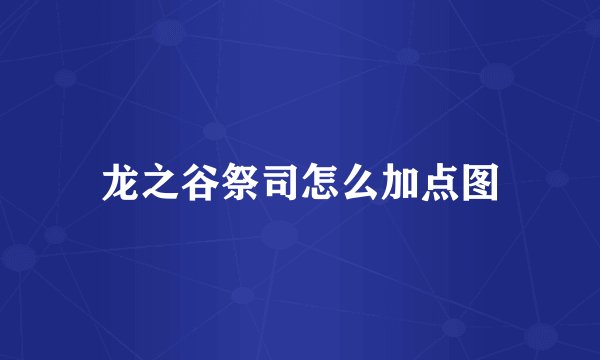 龙之谷祭司怎么加点图
