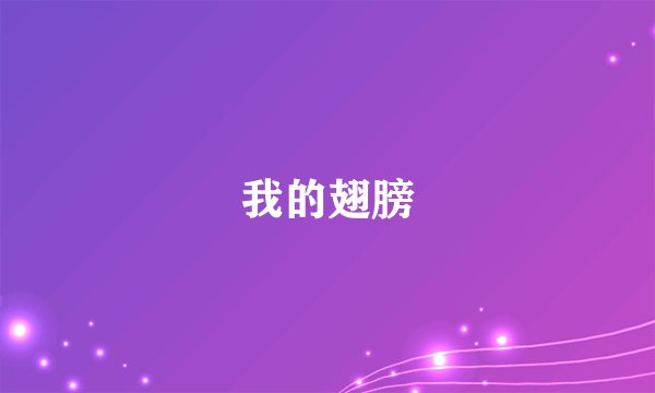 我的翅膀