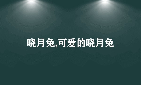 晓月兔,可爱的晓月兔