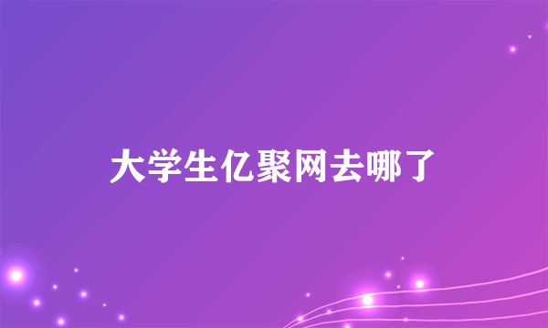 大学生亿聚网去哪了