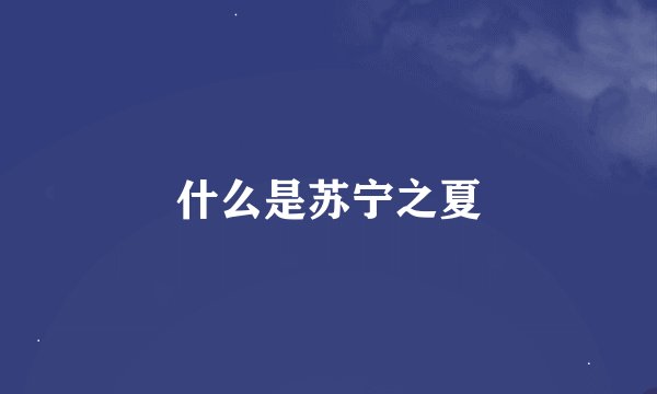 什么是苏宁之夏