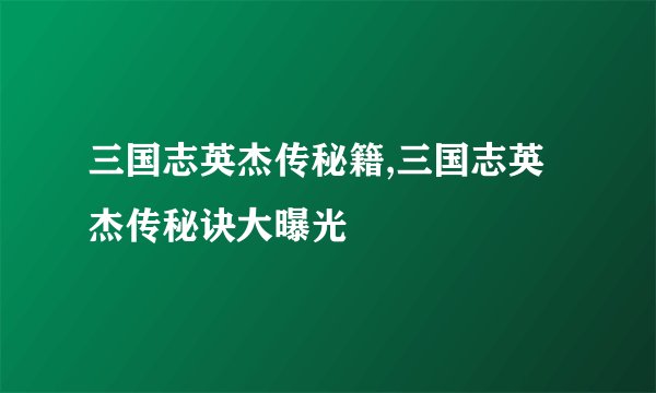 三国志英杰传秘籍,三国志英杰传秘诀大曝光