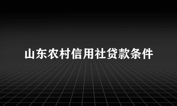 山东农村信用社贷款条件