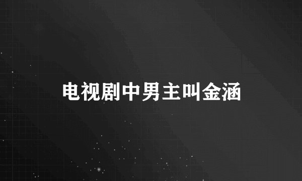 电视剧中男主叫金涵
