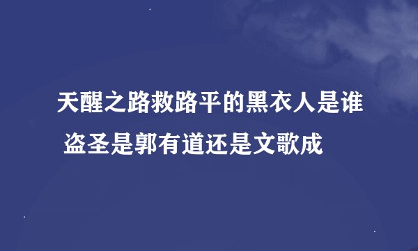 天醒之路救路平的黑衣人是谁 盗圣是郭有道还是文歌成
