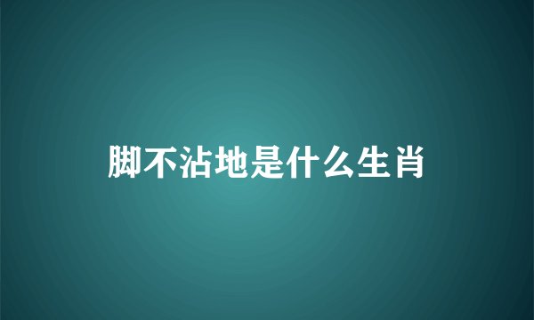 脚不沾地是什么生肖