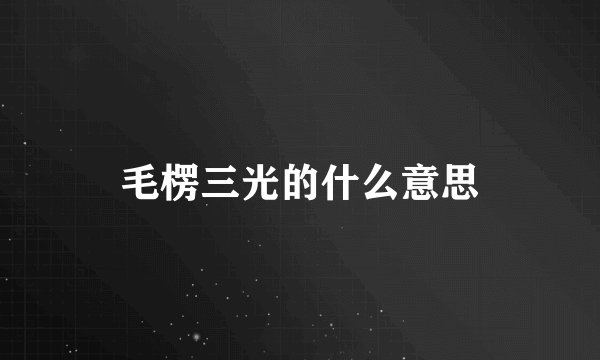 毛楞三光的什么意思
