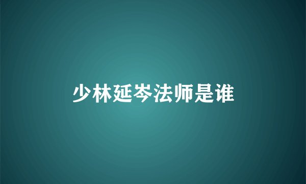 少林延岑法师是谁