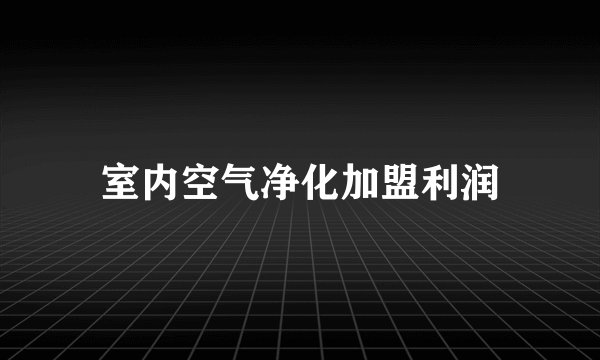 室内空气净化加盟利润