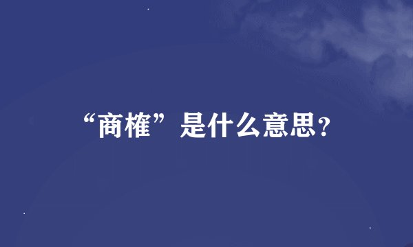 “商榷”是什么意思？