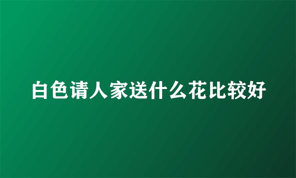 白色请人家送什么花比较好